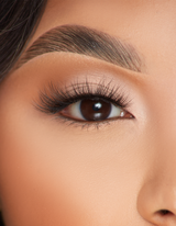 Beaming Bliss Wispy False Lashes