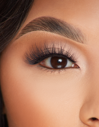 P.Louise Siren Stun Lashes