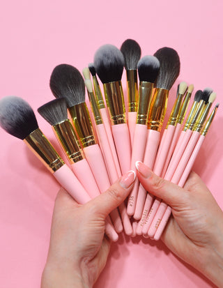 P. Louise 20 Piece Makeup Brush Bundle